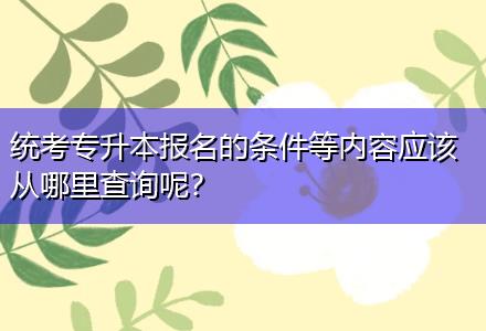 統(tǒng)考專升本報名的條件等內(nèi)容應(yīng)該從哪里查詢呢？