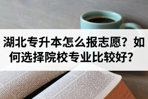 湖北省專升本怎么報志愿？如何選擇填報院校專業(yè)比較好？