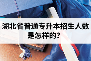 湖北省普通專升本招生人數(shù)是怎樣的？