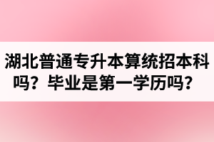 湖北普通專升本算統(tǒng)招本科嗎？專升本學歷是第一學歷嗎？