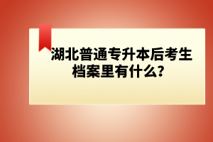 湖北普通專升本后考生檔案里有什么？