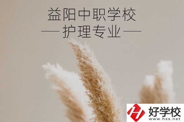 益陽護(hù)理專業(yè)的中職學(xué)校有哪些？需要哪些要求？