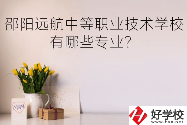 邵陽遠(yuǎn)航中等職業(yè)技術(shù)學(xué)校有哪些專業(yè)？