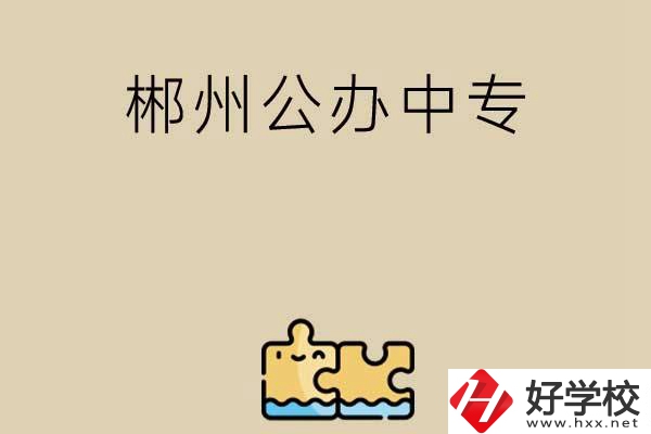 郴州公辦中專有哪些開設(shè)了電子商務(wù)專業(yè)？