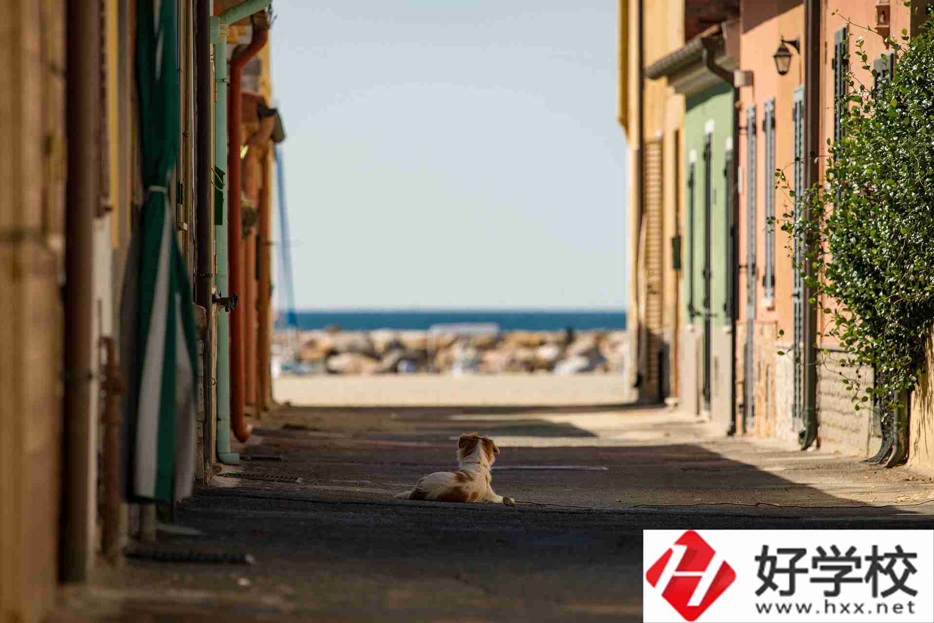 益陽(yáng)市四通電腦中等專業(yè)學(xué)校什么專業(yè)強(qiáng)？