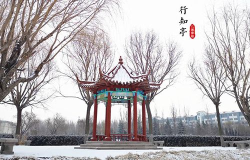 濰坊工商職業(yè)學院