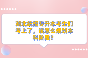 湖北統(tǒng)招專升本考生們考上了，該怎么規(guī)劃本科階段？