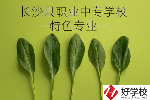 長沙縣職業(yè)中專學校怎么樣？有什么特色專業(yè)？