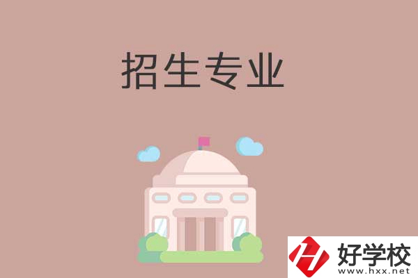 益陽有哪些高職院校設(shè)立了中職部？招生專業(yè)有哪些？