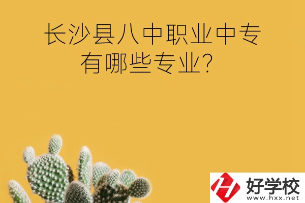 長(zhǎng)沙縣八中職業(yè)中專好不好？有哪些專業(yè)？