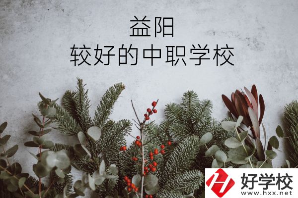 益陽有哪些中職學(xué)校比較好？