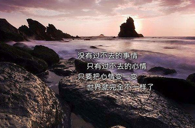 高坪區(qū)職業(yè)高級中學2024年學費多少？貴嗎？