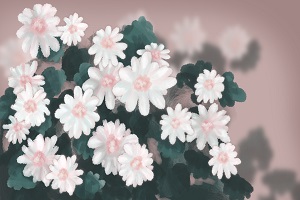 能否報考？